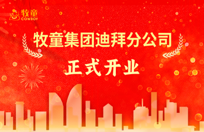 PG模拟器大事件丨PG模拟器迪拜分公司正式开业！