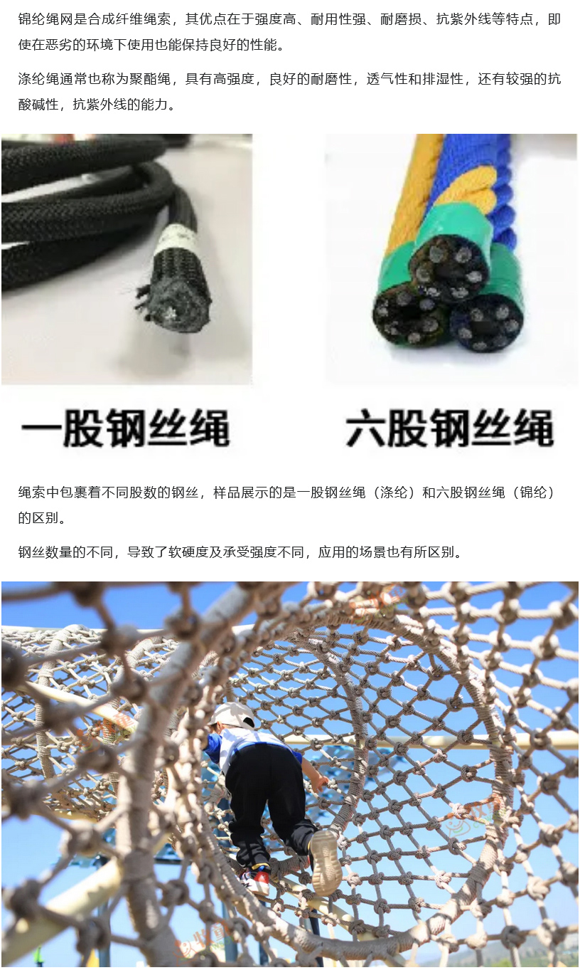 1_11.jpg
