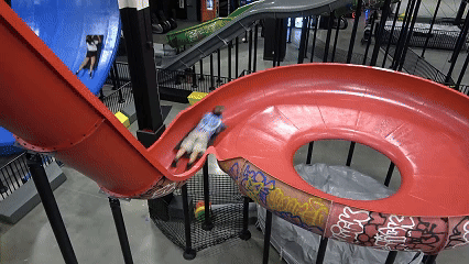 1747130051584264.gif 12.gif